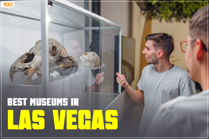 Best Museums in Las Vegas