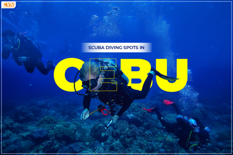 Scuba Diving Spots in Cebu