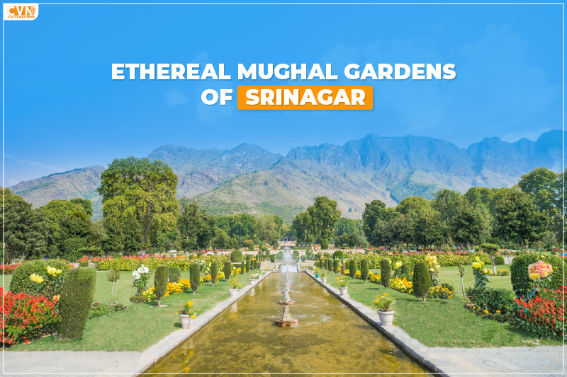 Ethereal Mughal Gardens of Srinagar