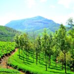 Best Hill stations in India