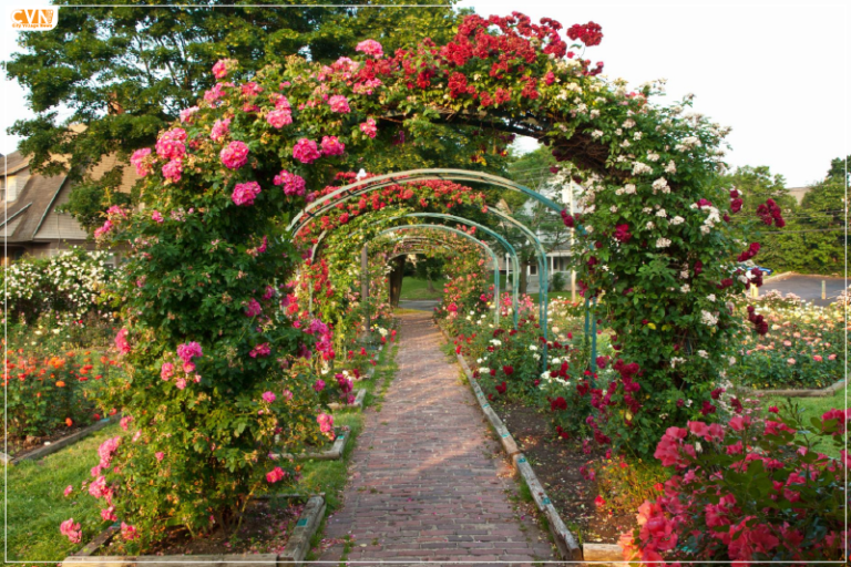 Best Things To Do In Schenectady