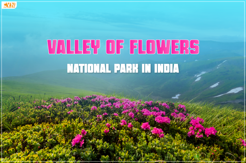 Flowers National Park in India