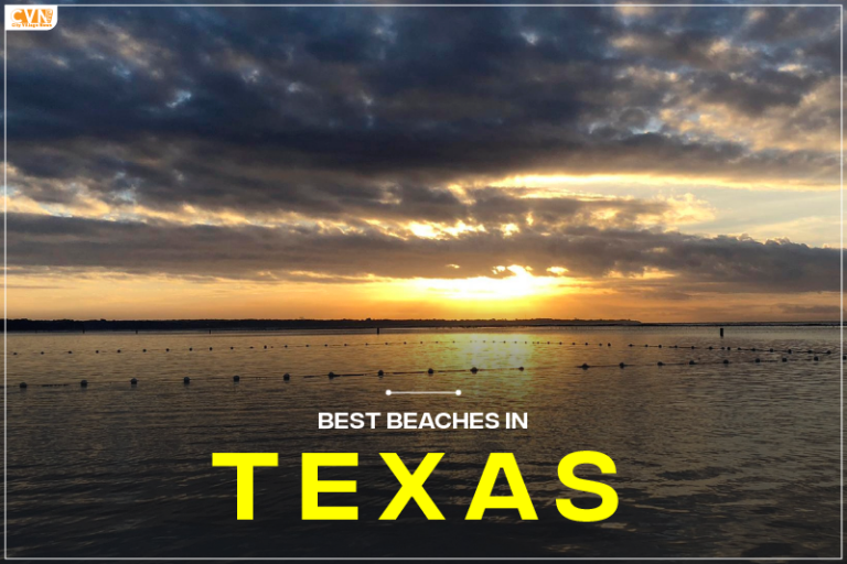 Best Beaches in Texas