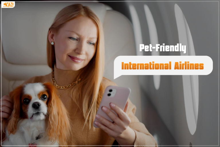 Traveling With Pets