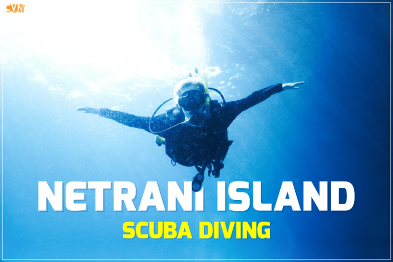Netrani Island Scuba Diving
