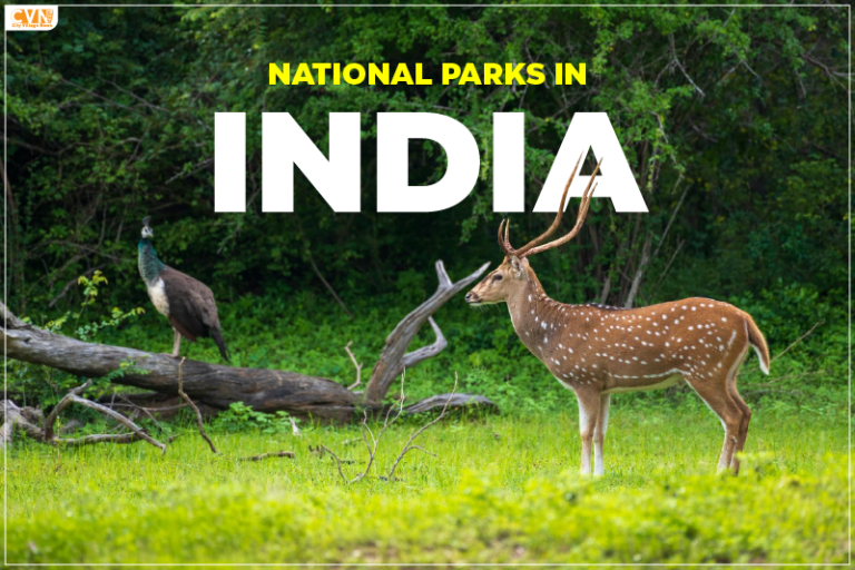 5 National Parks in India That You’re Sure to Love
