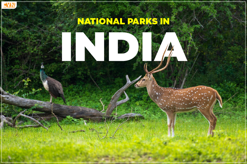 National Park in India