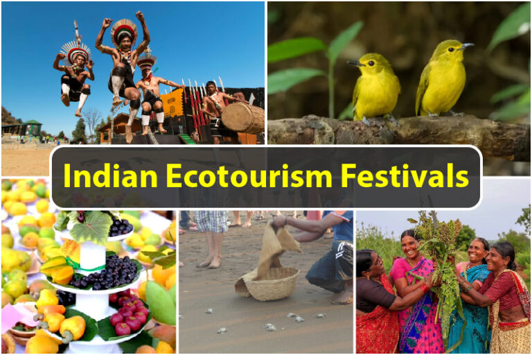 5 Indian Ecotourism Festivals That Will Blow Your Mind
