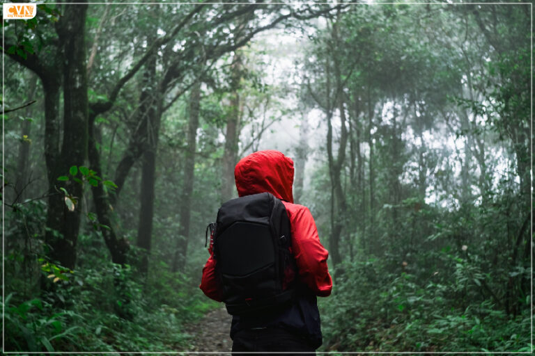 Ecotourism Holidays in India