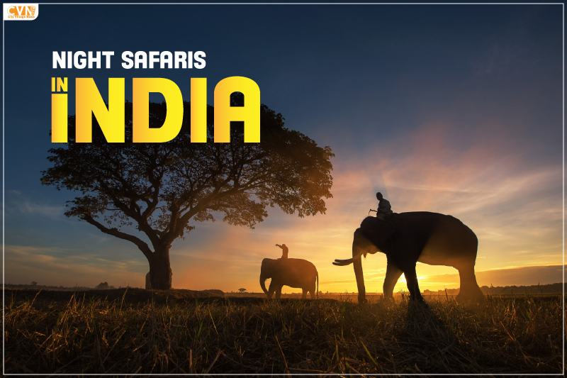Night Safaris in India