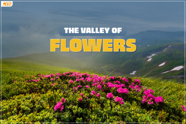Valley of Flowers