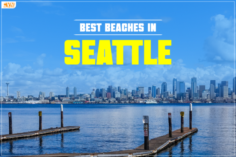 6 Best Beaches in Seattle For a Thrilling Summer Vacation