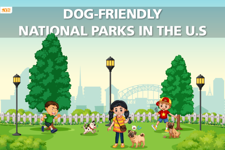 dog-friendly national parks