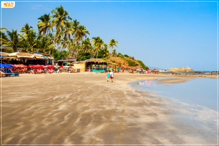 Culture of Goa Unveiling the Rich Heritage