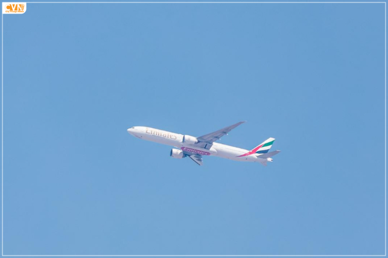 Direct Flights Between Dubai & Bhubaneswar NROs To Thank CM