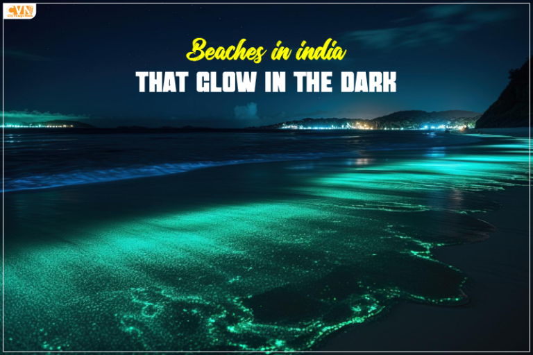 Beaches in India that Glow in the Dark: A Mesmerizing Natural Phenomenon