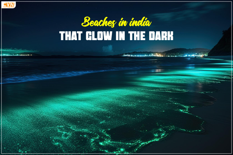 Beaches in India that Glow in the Dark