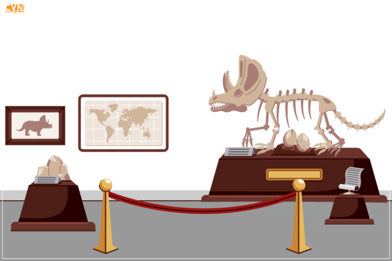 Museum in US is Set to Open on 27th June