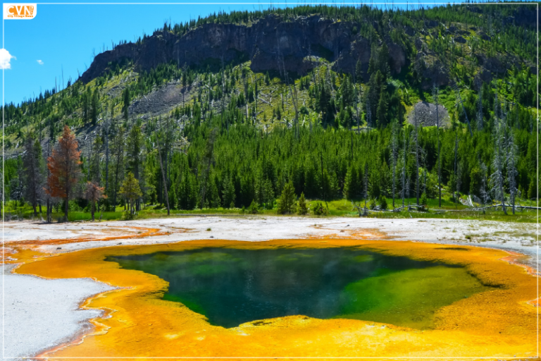 Yellowstone National Park Issues an Advisory for Visitors to Keep Distance from Wildlife