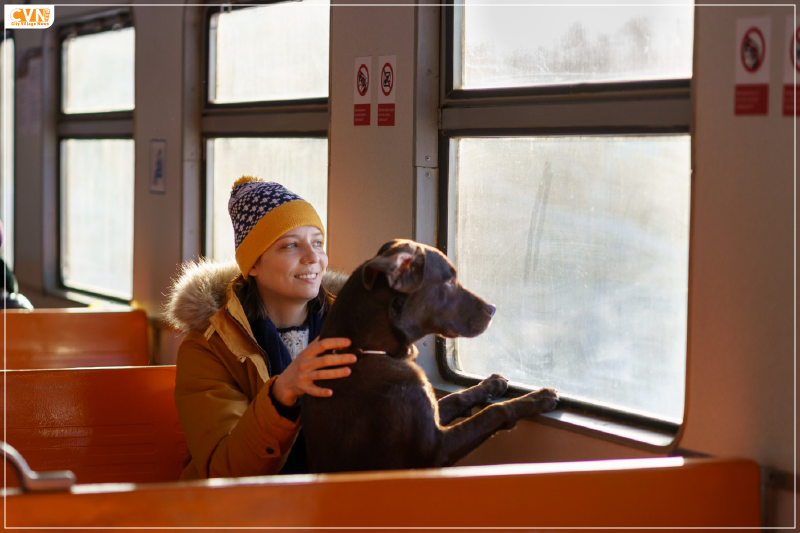 A Step-by-Step Guide to Pet-Friendly Travel on Indian Railways