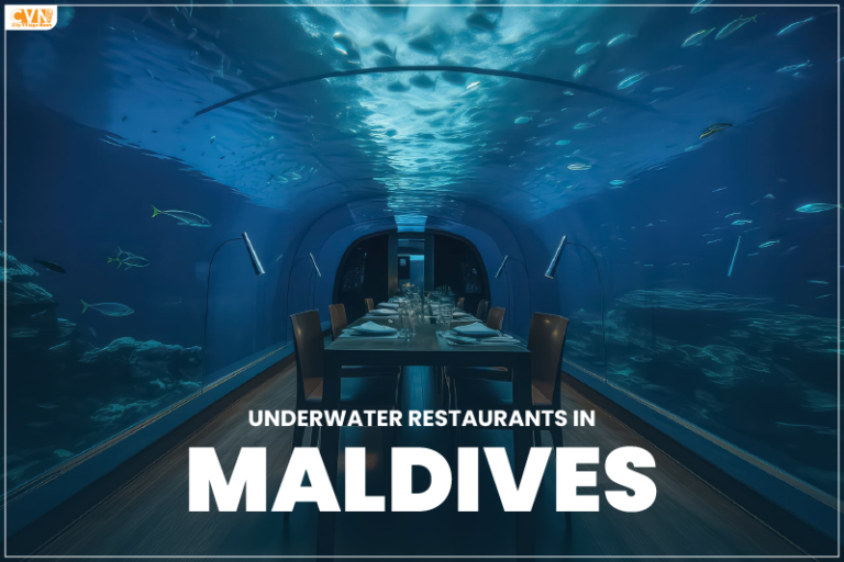 Underwater Restaurants in Maldives: A Sublime Dining Experience