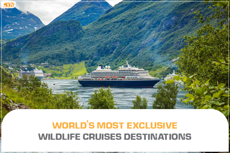 World’s Most Exclusive Wildlife Cruises Destinations