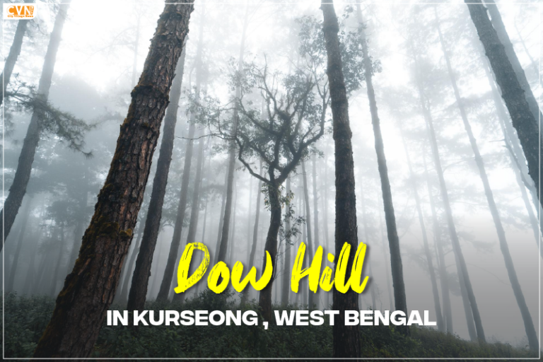 The Mysterious Haunting of Kurseong in West Bengal: Unveiling Dow Hill’s Dark Secrets