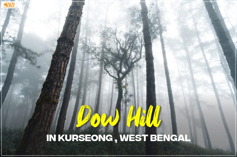 Dow Hill in Kurseong, West Bengal