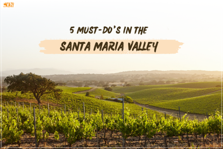 Discover the Best of Santa Maria Valley: 5 Unmissable Experiences