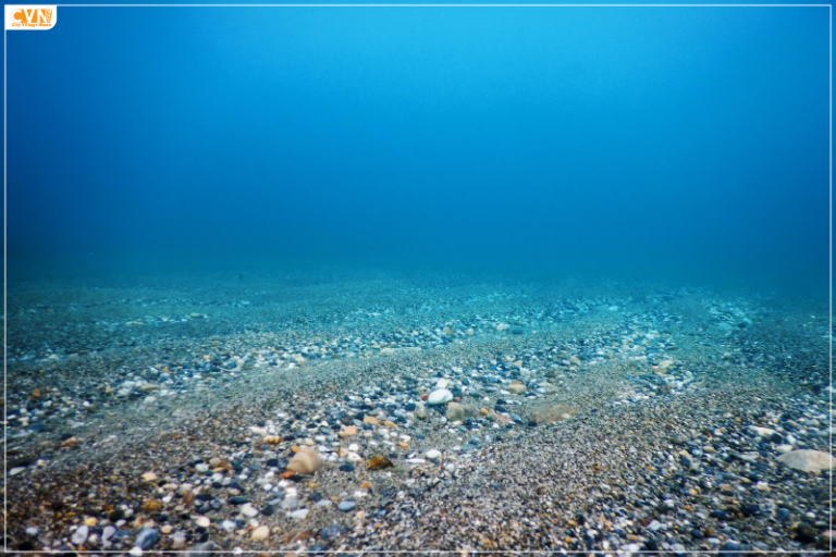 Unveiling Enigmatic ‘Golden Egg’ Discovery on Alaskan Seafloor