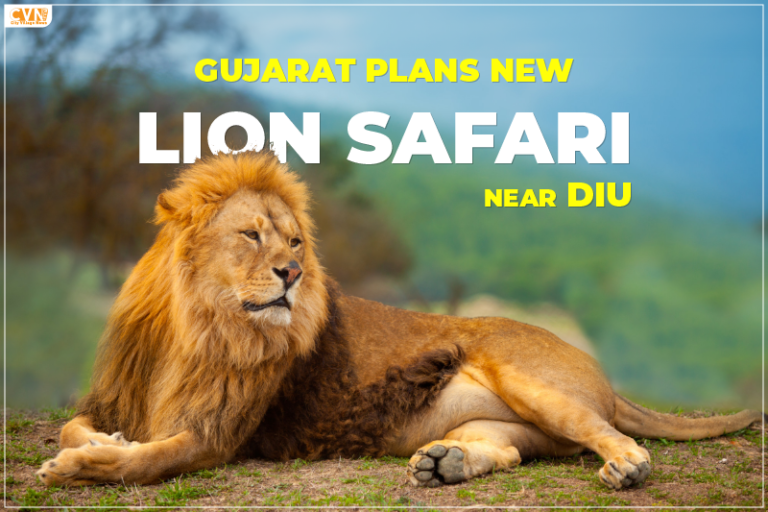 A New Lion Safari Park in Gujarat Near Diu Will Open Soon