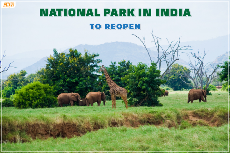 National Parks in India to Reopen