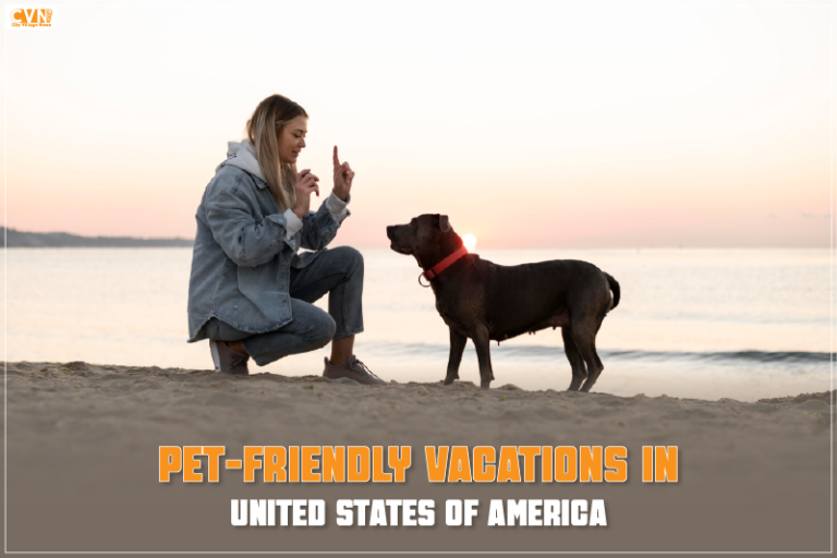 dog friendly vacations