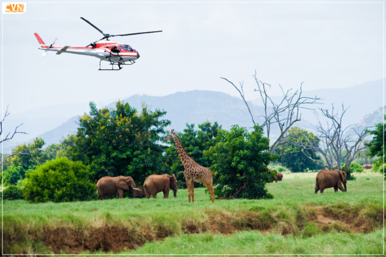 Dudhwa National Park Reopen on November 15