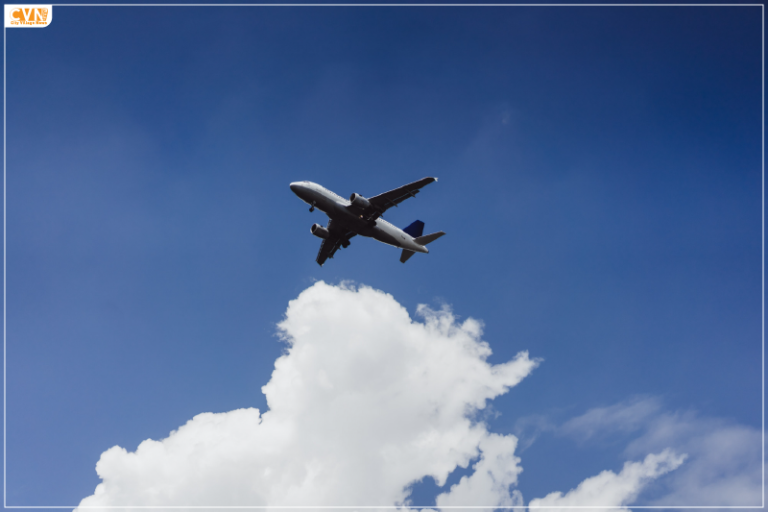 IndiGo wins ch-aviation award for 'World's Youngest Aircraft Fleet' for second year running