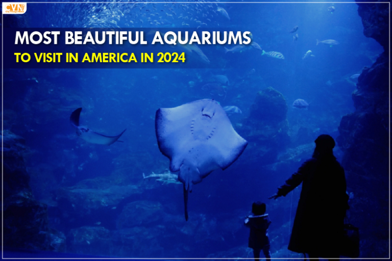 Best aquariums in the USA