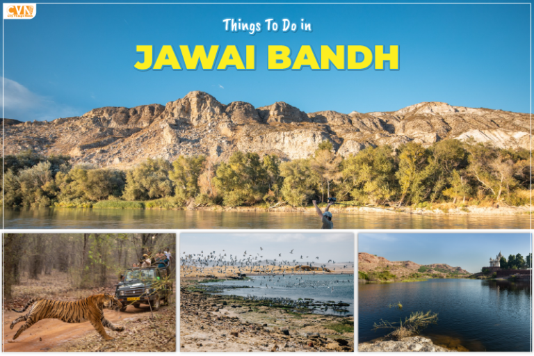 6 Best Things To Do in Jawai Bandh