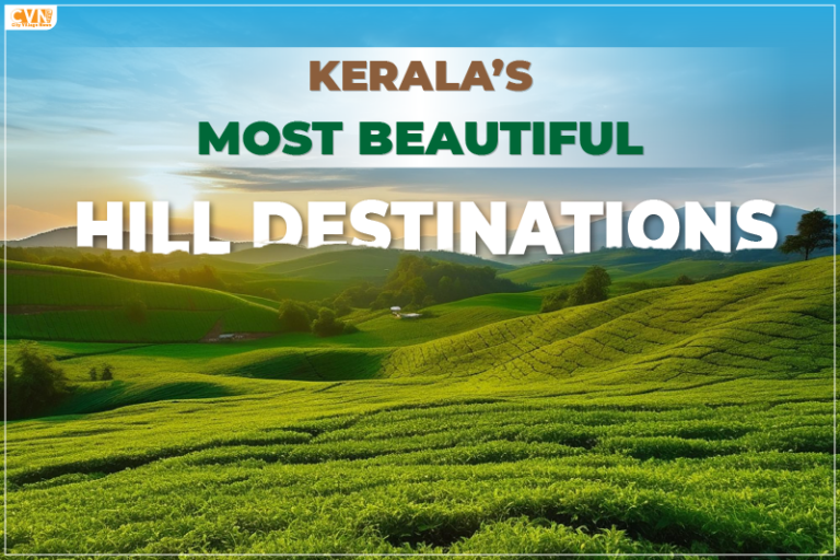 Top 5 Hill Stations in Kerala for Amazing Views and Memories
