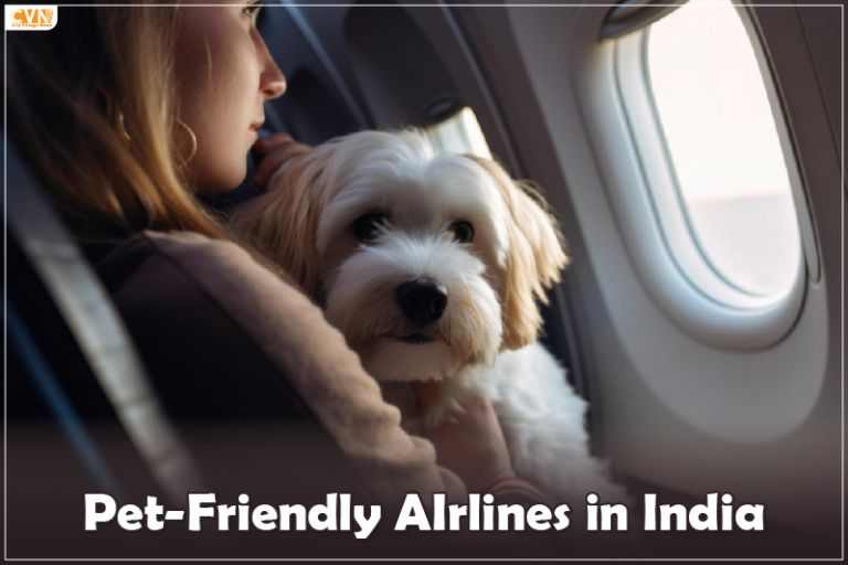 4 Pet-Friendly Airlines in India that will Let You Travel with Your Paw-ed Companion