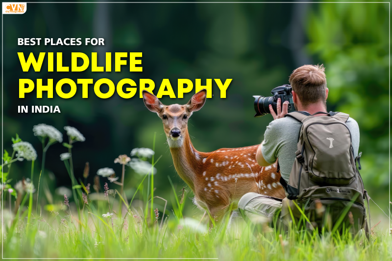 best places for wildlife photography in india