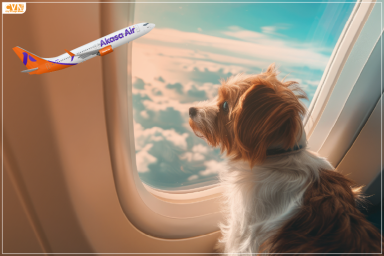 Akasa Air Reaches a New Milestone with its Airline Pet Policy