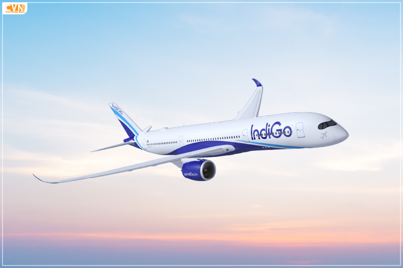 4 New IndiGo Turkish Airlines Codeshare Destinations in US