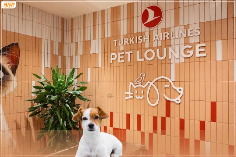 Turkish Airlines Pet Lounge at Istanbul Airport Setting New Standards for Pet Travel