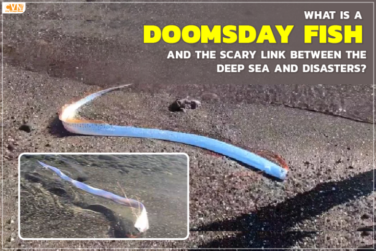 What is a Doomsday Fish and Why Scientists Fear its Appearance