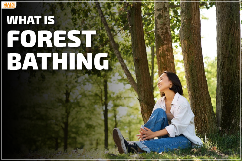 What is Forest Bathing? Top US Destinations to Reconnect!