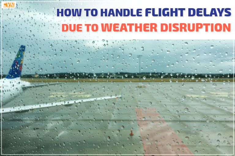what to do if your flight is canceled